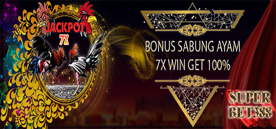 Bonus Jackpot Sabung Ayam 7X WIN